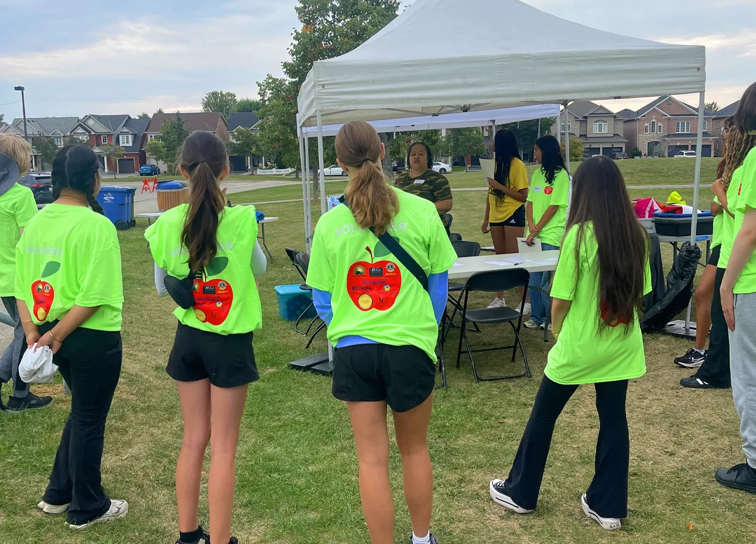 Picnic Volunteers